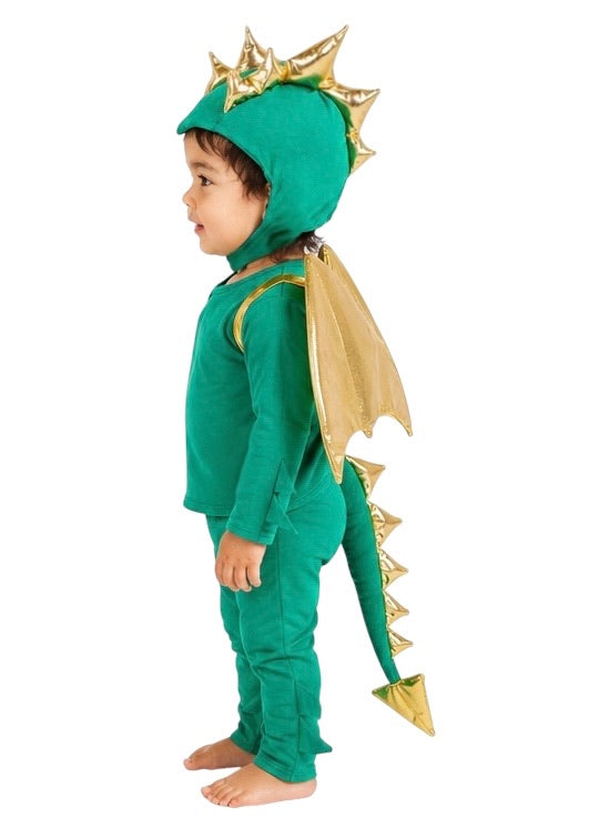 Baby Green Dragon Halloween Costume
