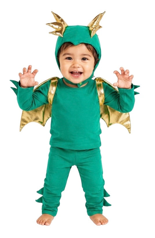 Baby Green Dragon Halloween Costume