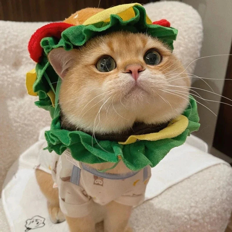 Halloween Pet Dog Burger Hood Collar Hat Cartoon Pet Fries Bib Messing with Weird Costumes Elisabeth Circle Cosplay Cat Costume
