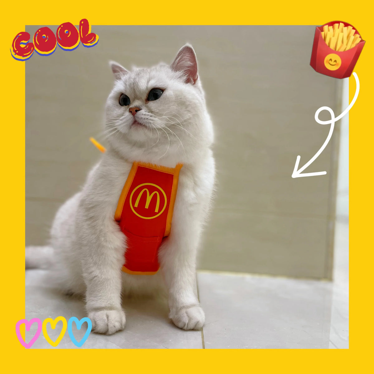 Halloween Pet Dog Burger Hood Collar Hat Cartoon Pet Fries Bib Messing with Weird Costumes Elisabeth Circle Cosplay Cat Costume