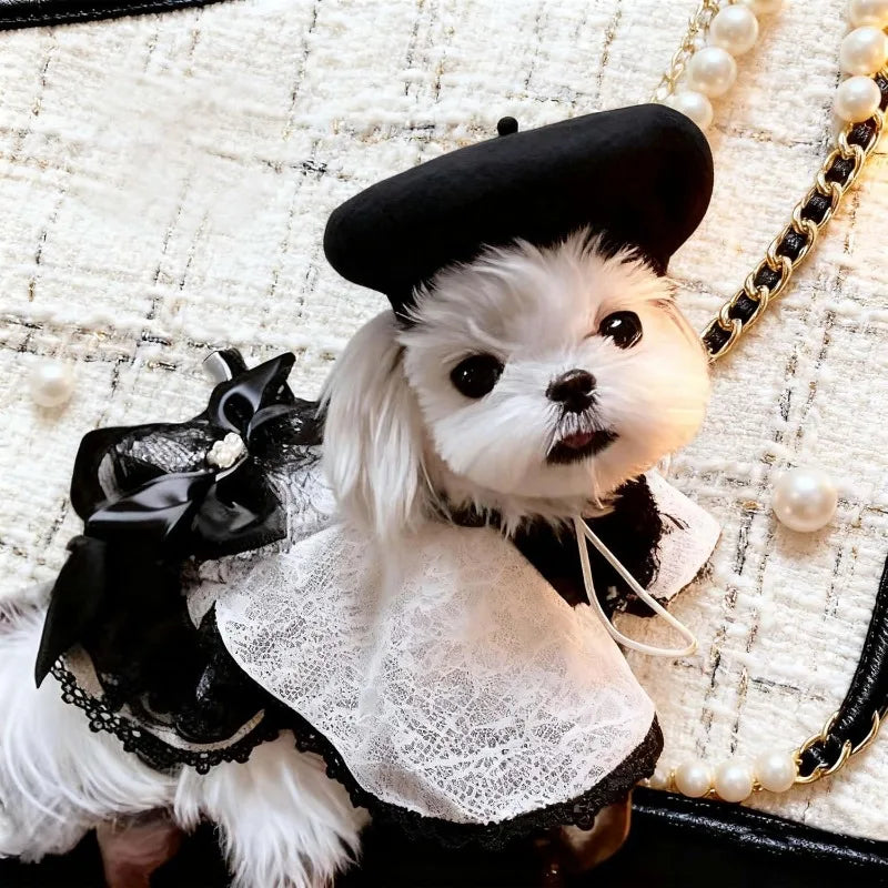 Ultra small dog beret cute kitten hat, fashionable pet hat wool mini hat photo props birthday accessories Christmas Halloween